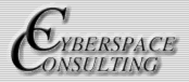 Cyber Space Consulting